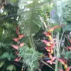 gilma lopez - @gilma.lopez13 - TikTok