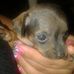 Gilma Lopez Serna - Facebook