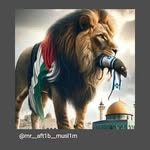 gilman king - @gilm.an4587 - Instagram