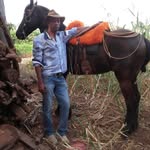 Gilmar Borges - @gilmarborges121 - Instagram