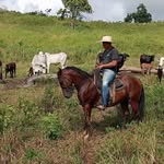 Gilmar Borges jr - @gilmar__borges__jr - Instagram
