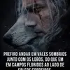 Gilmar Ribeiro - @gilmar.ribeiro02 - TikTok
