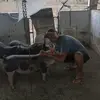Gilmar Torres - @gilmar.torres50 - TikTok