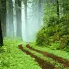Gilmar Torres - @gilmar.torres01 - TikTok