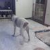 Gilmer Monk - Facebook