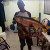 Gilson Batista - @gilson.batista61 - TikTok