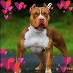 Gilson Batista - Facebook
