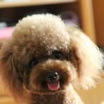 Gin Chang - @ginchangchang - Instagram
