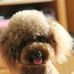 Gin Chang - Facebook