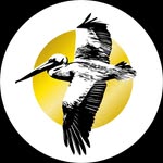 GINCHIN - @ginchindrinks - Instagram