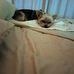 Ginger Johnson - Facebook