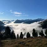 Gian Paul Müller - @ginpaulmuller - Instagram