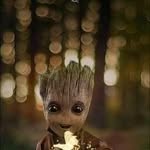 Gin Paúl - @ginpaul65 - Instagram