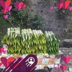 Tan Gintink - Facebook