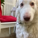 Ginyee Xu - @ginyeeling - Instagram