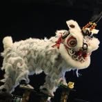 Chia Ging Yuen - Facebook