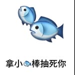 金鱼 - @ginyuer - Instagram