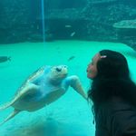 Gina Leah - @gina_altshuler - Instagram