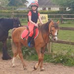 Georgina Reilly Murphy - @gina_james_indi_murp - Instagram