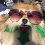 Gina Barsotti - @gjbarsotti - Instagram