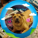 Gina Beatty - @gbeats64 - Instagram