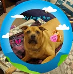 Gina Beatty - Facebook