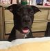 Gina Bernal - Facebook