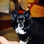 Gina Carifi Bernier - @carifibernier - Instagram