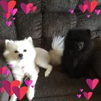 GinaandJohn Bernier - Facebook