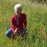 ina bernstein - @inadreeuws - Instagram
