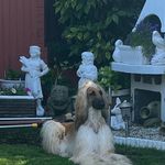 Gina de Bock - @ginadebock - Instagram