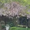 ginabrewster1 - @gina.brewster5 - TikTok