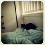 Gina_Browning_ - @gina_browning_n - Instagram