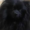 ginabrowning195 - @ginabrowning195 - TikTok