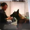 gina busse - @gina.busse - TikTok
