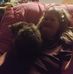 Gina Cagle - Facebook