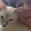 ginabuccella - @ginabuccella - TikTok