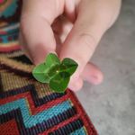 Gina Alexander Clancy - @gina.clancy525 - Instagram