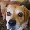 Gina Bonin Clancy - @gina.bonin.clancy - TikTok