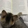 Gina.Coelli - @gina.coelli - TikTok