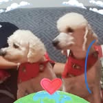 Gina Rosero Coello - @gginaalicia - Instagram