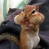 MsGinaInTX - @ginacolleycampos - TikTok
