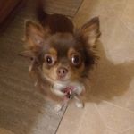 Gina Collier - @ginacollier_vbaby - Instagram