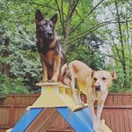 GINA COOLEY - @geecool33 - Instagram