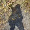 Gina Corez - @gina_corez - TikTok
