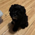 Gina Cotter - @gina.cotter.5 - Instagram