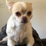 Gina Crouch - @mcrouch2387 - Instagram