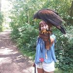 Gina Davison - @ginaveronicad - Instagram