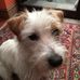 Gina Davison - Facebook