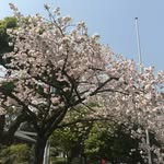 Gina Ding - @giding78 - Instagram